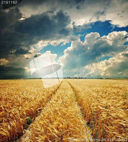 Image of dramatic sky over golden field