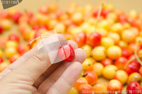 Image of cherry in hand