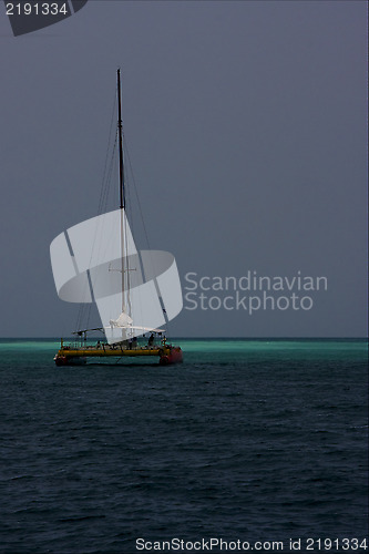 Image of  ocean water catamaran  boat 