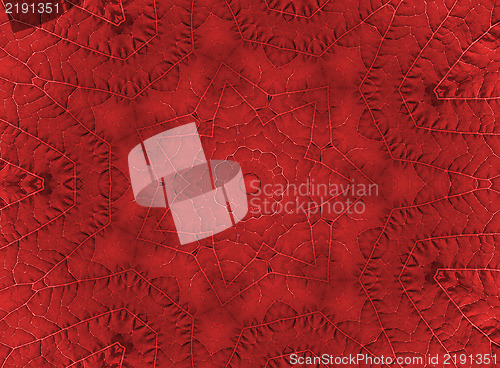 Image of Red leaf abstract pattern