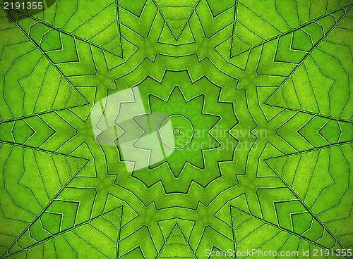 Image of Green leaf abstract pattern