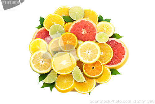 Image of Citrus