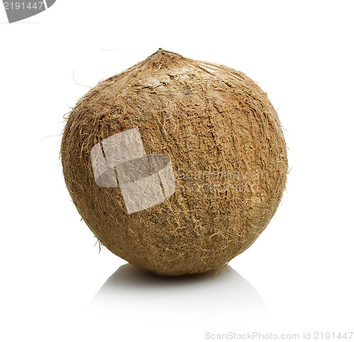 Image of Coconut