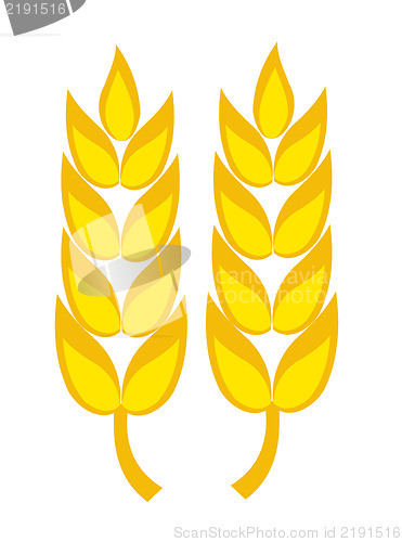 Image of Wheat ears