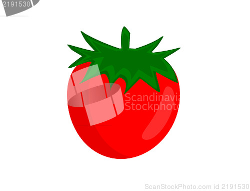 Image of Tomato illustration