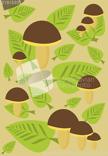 Image of Mushroom background