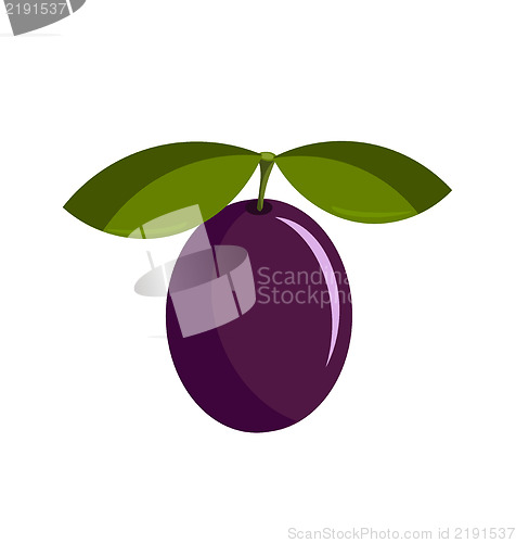 Image of Plum