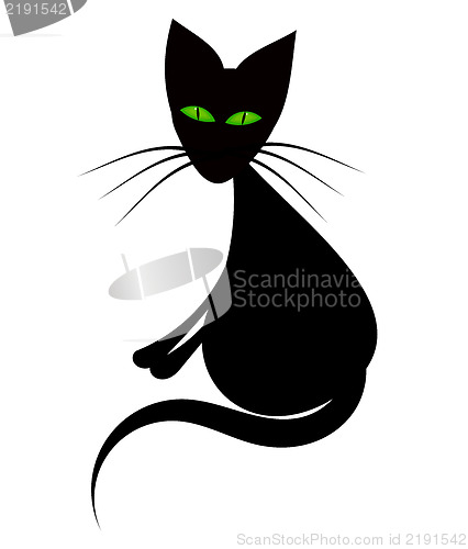 Image of Black cat