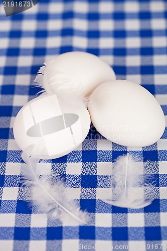 Image of three eggs and feathers