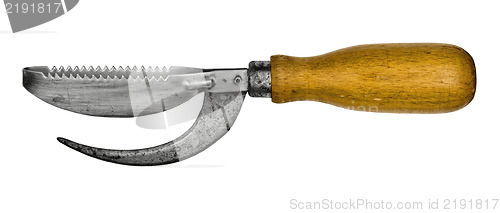 Image of vintage fish knife