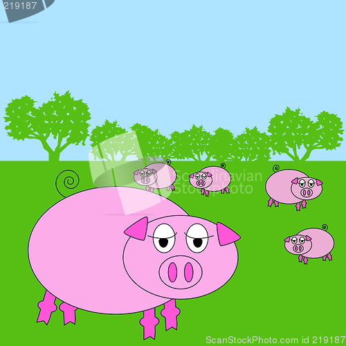 Image of pig