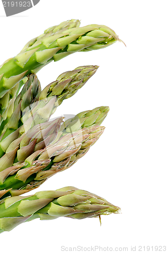 Image of Asparagus