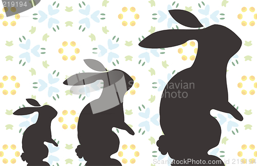 Image of Bunny