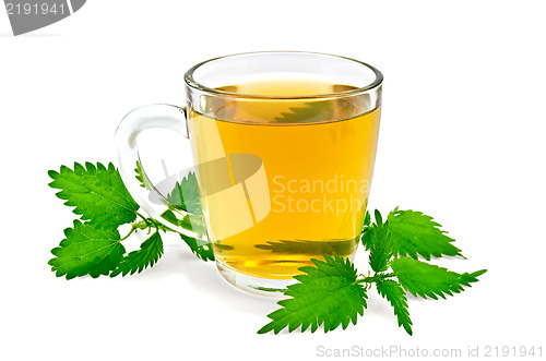 Image of Herbal tea in a mug with nettles