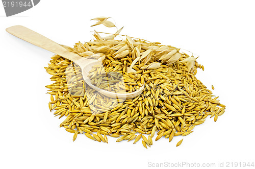 Image of Oats with a spoon and a stem