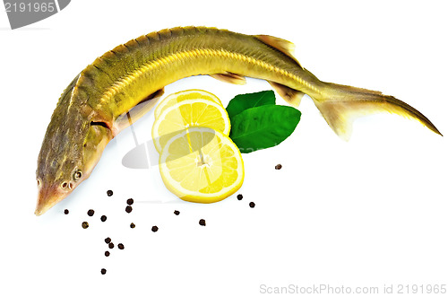Image of Fish starlet with lemon and leaf