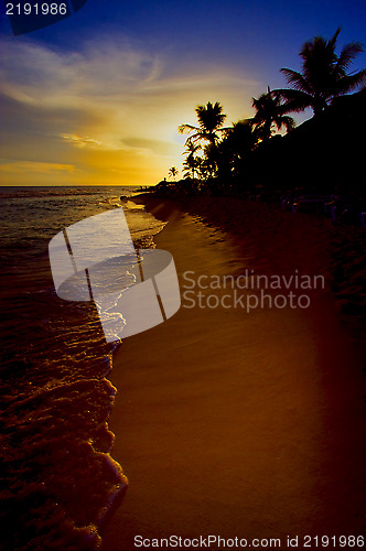 Image of sunrise river   palm