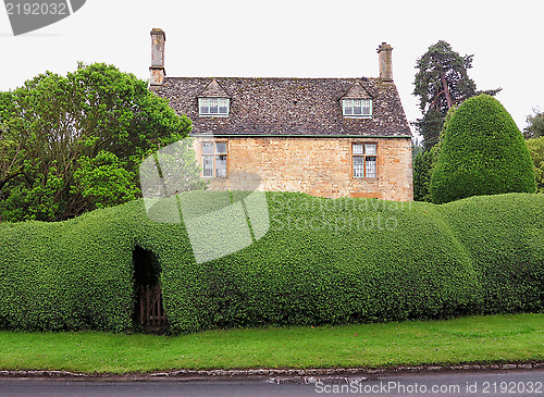 Image of Old hedge and villa