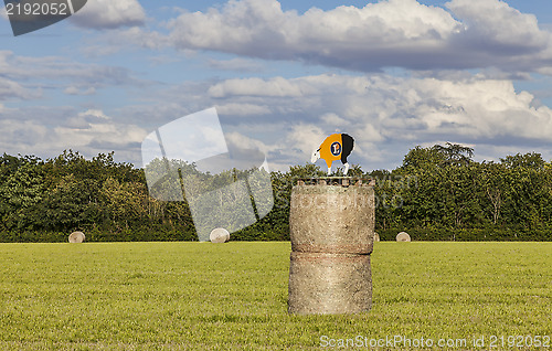 Image of Hay Bales During Le Tour de France