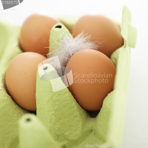 Image of Cardboard carton with eggs and a feather