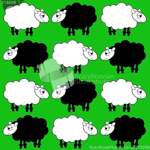 Image of sheep