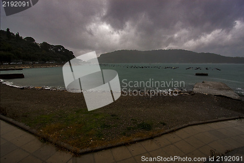 Image of  water and autumn   porto venere 