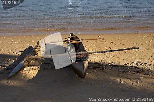 Image of  nosy be  boat oar  