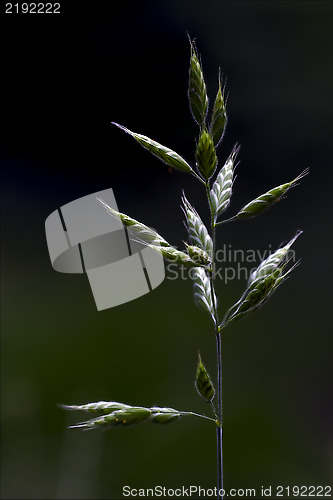Image of  abstract background 
