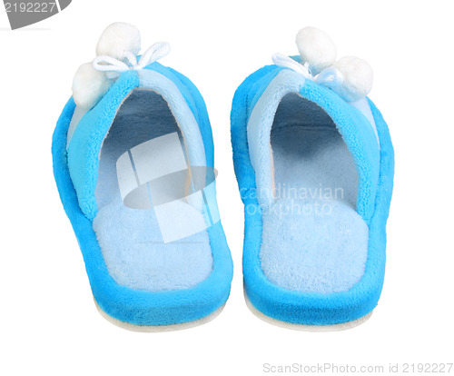 Image of Pair of domestic blue slippers