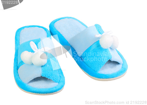 Image of Domestic blue slippers