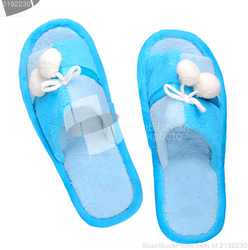 Image of Domestic blue slippers