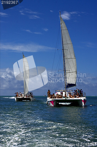 Image of  catamaran  in mauritius