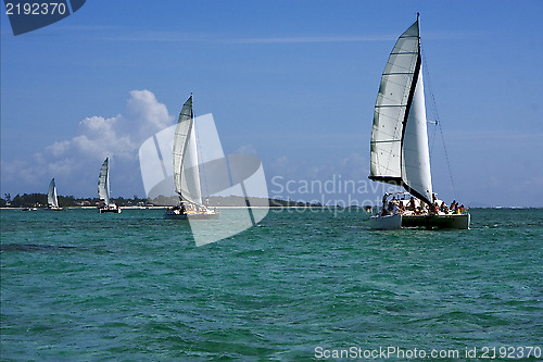 Image of navigable  froth  catamaran and coastline