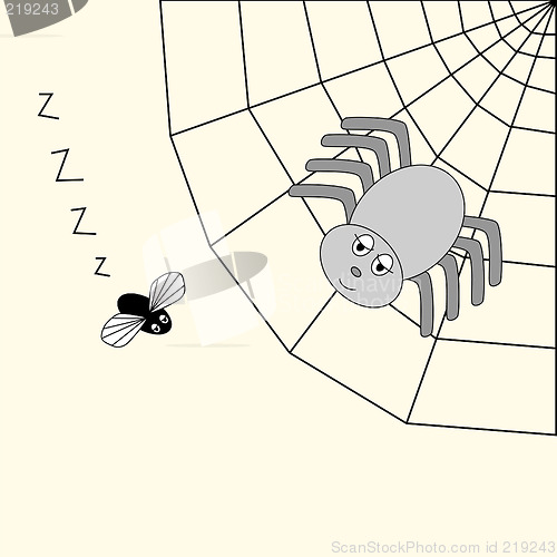 Image of spider and fly