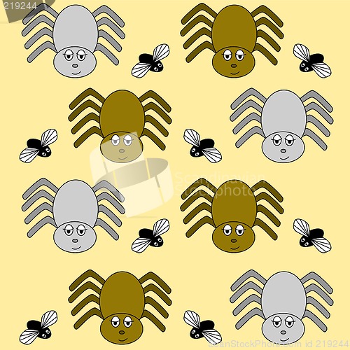 Image of spider and fly