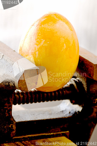 Image of Egg in a bench vise