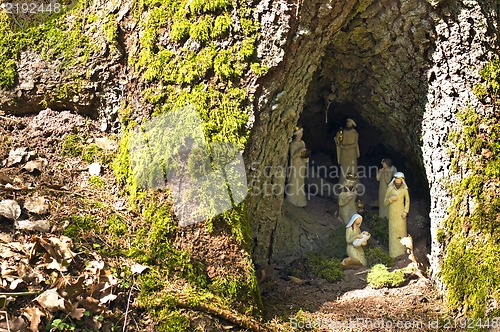 Image of nativity scene in a hollow tree