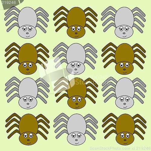 Image of spider