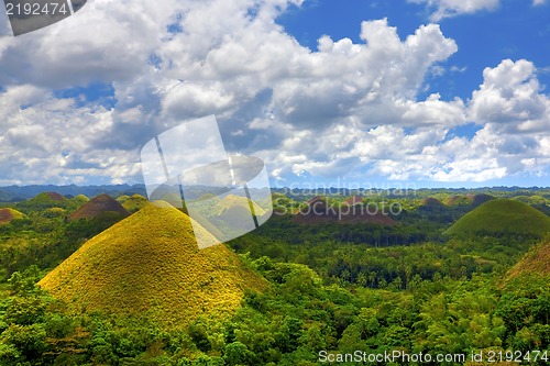 Image of Chocolate Hills