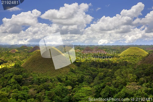 Image of Chocolate Hills