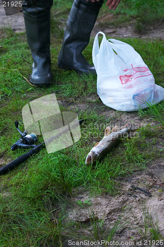 Image of Fishing trophy