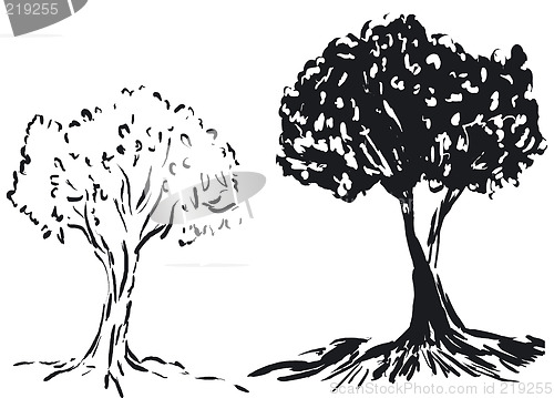 Image of Tree silhouette