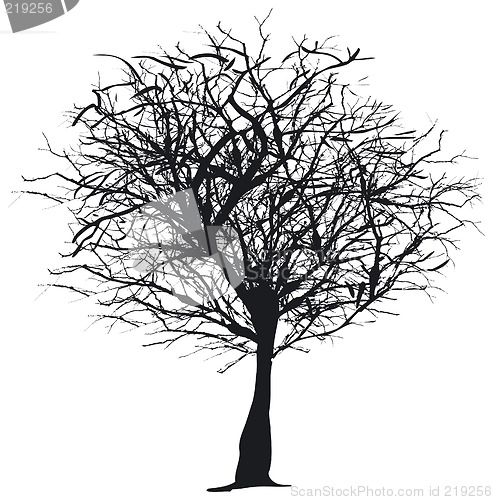 Image of Tree silhouette