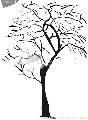 Image of Tree silhouette