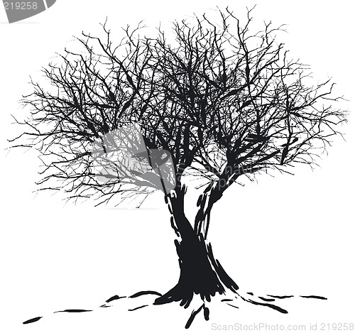 Image of Tree silhouette
