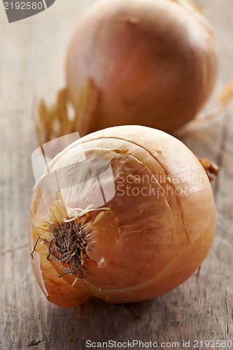 Image of two onions on wooden table