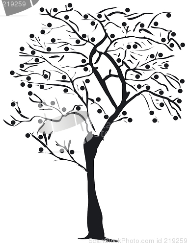 Image of Tree silhouette