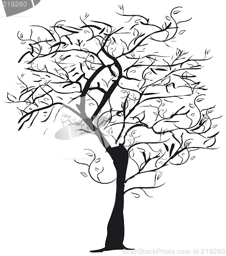 Image of Tree silhouette