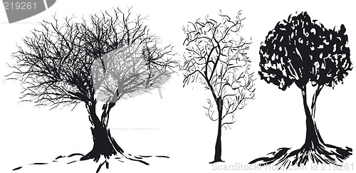 Image of Tree silhouette