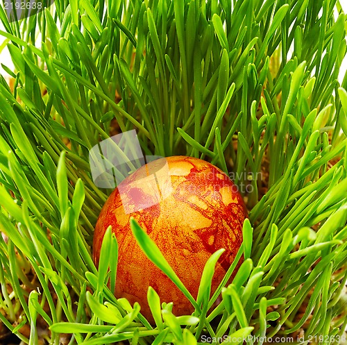 Image of Easter eggs colored with onion peel